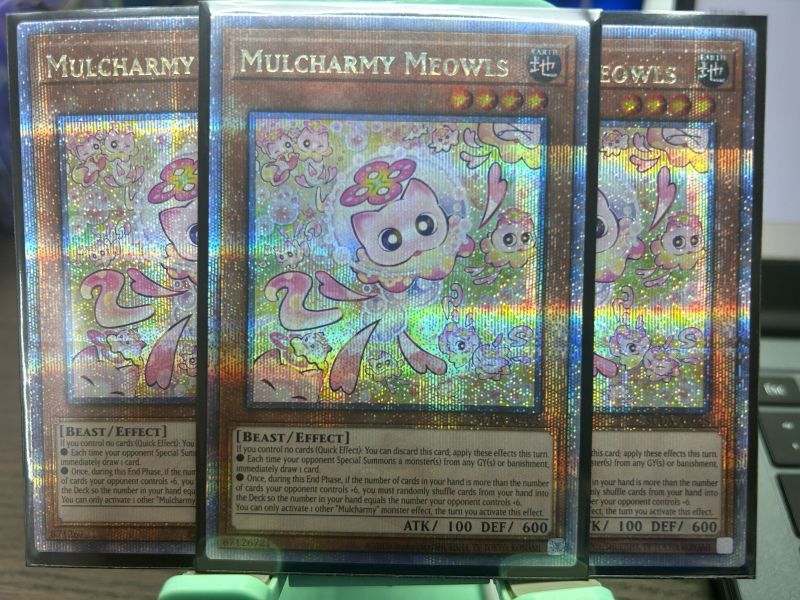 SUDA-AE025 Mulcharmy Meowls 多多迷寶 喵嚕貓咪 (QCSER)